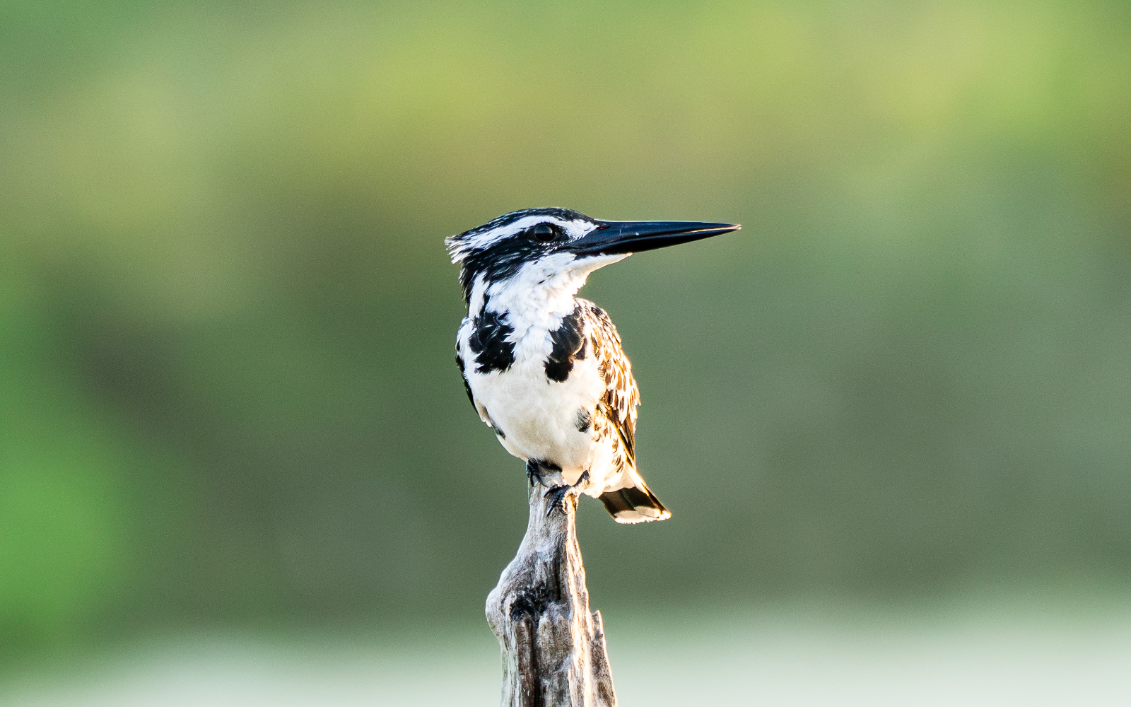 Yala National Park, photo 3